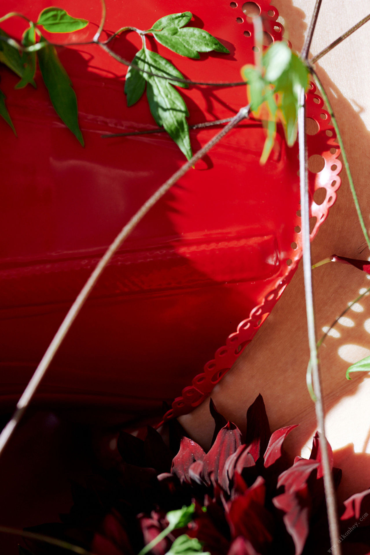 Ayaka Tomoda 友田彩也香, 周刊ポストデジタル写真集 「花园」